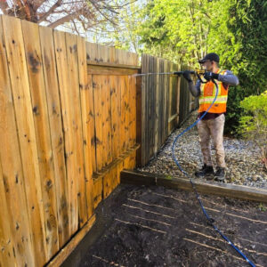Bringing a Weathered Wood Fence Back to Life in Lakeview Neighbourhood