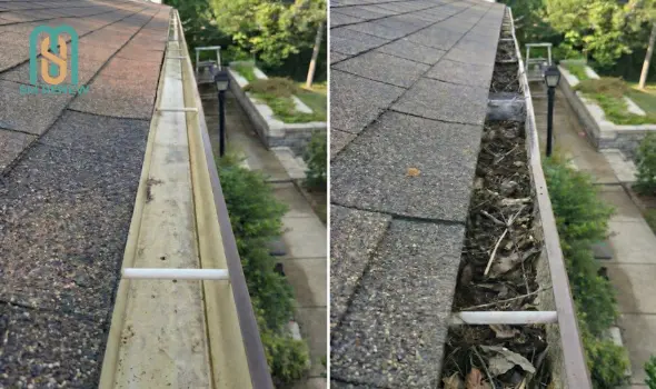 gutter cleaning