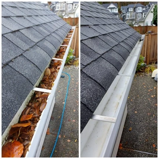 Gutter Cleaning