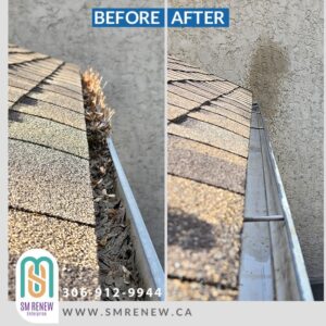 Complete Roofline and Gutter Refresh in Lakeside Neighbourhood